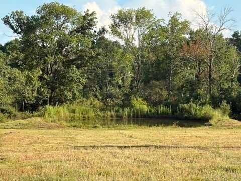 Hempstead 49, Fulton, AR 71838