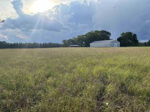 0 Highway 291 South, Prattsville, AR 72129