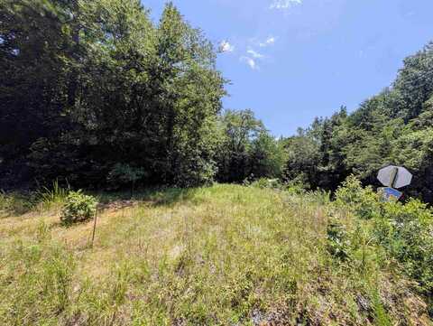 Unk Polk Road 48 and Polk 95, Mena, AR 71953