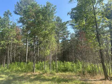520 Buck Crossing Drive, Guild, TN 37340