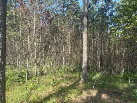 520 Buck Crossing Drive, Guild, TN 37340
