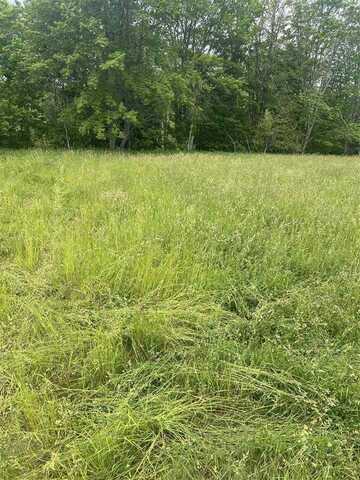 SPRINGWOOD RD. C-2, CHARLEVOIX, MI 49720