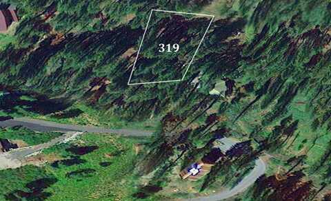 319 Snowshoe Road, Bear Valley, CA 95223