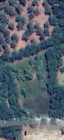 722 Romain Rd., Mc Clellanville, SC 29458