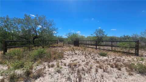 Tract 59, Benavides, TX 78341