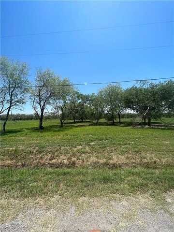 12509 CR 1272, Sinton, TX 78387