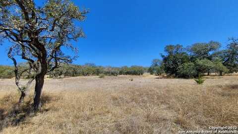 928 Annabelle Ave, Bulverde, TX 78163