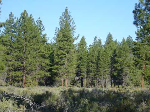 20 acres off Technor Robison Rd., MacDoel, CA 96058