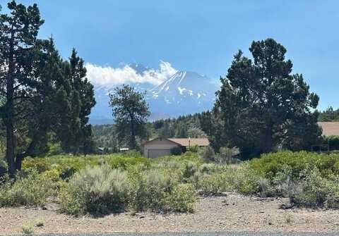 8-1/158 Woodside Road, Weed, CA 96094