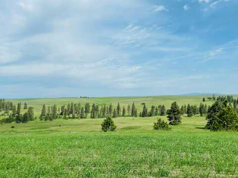 11900 Hays Rd, Spangle, WA 99031