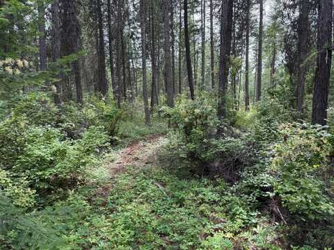 Lot 2 Springdale Hunters Rd, Springdale, WA 99173