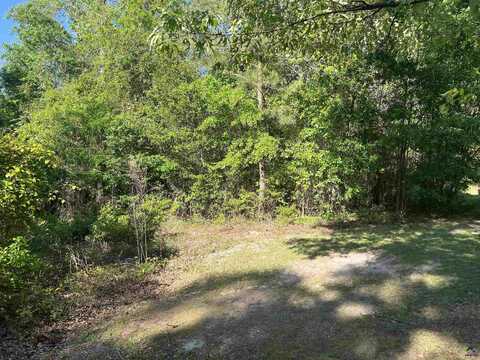 0 Michael Court, Bonaire, GA 31005