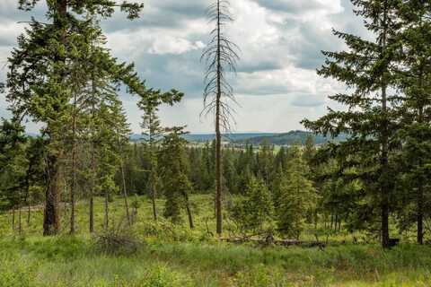 645 Juanita Ln, Elk, WA 99009