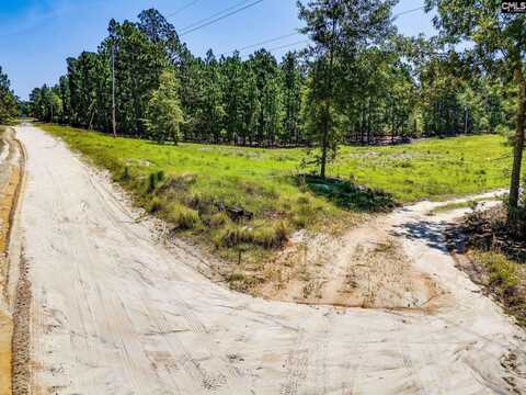 234 Chandler Drive, Gilbert, SC 29054