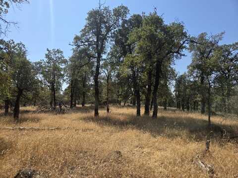 McCandless Gulch Road, Bella Vista, CA 96008