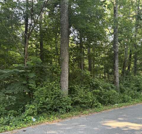 00 Tony Ave, Russellville, AL 35653
