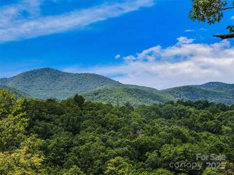 South Hill Drive lot: 10, Brevard, NC 28712