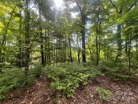 Laurel Thicket Lane, Brevard, NC 28712