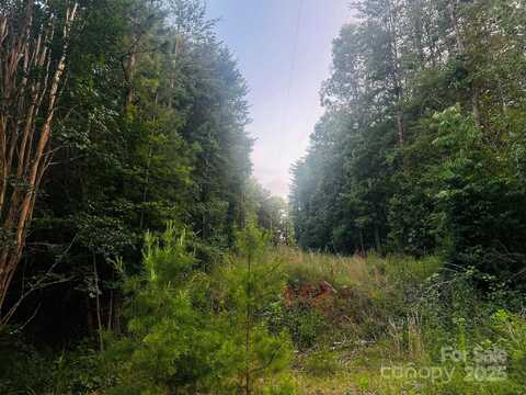 211 Luckadoo Road, Bostic, NC 28018