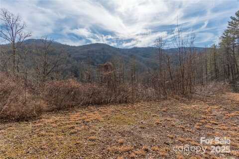2220 (Tract 2) Tilley Creek Road, Cullowhee, NC 28723