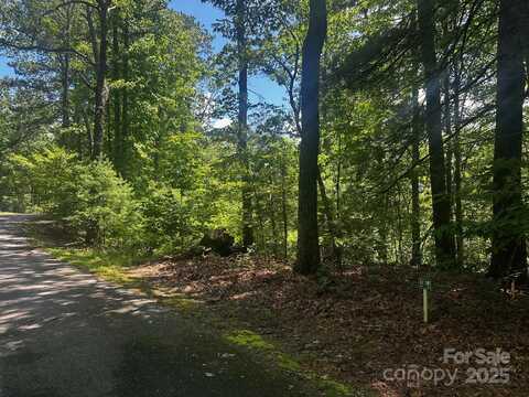 130 Brown Bear Ridge Trail, Zirconia, NC 28790