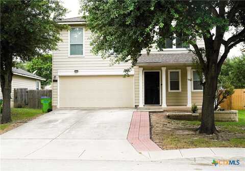 11719 Wayward Daisy, San Antonio, TX 78245