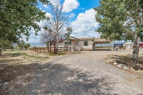 21901 Orchard Grove Road, Eckert, CO 81418