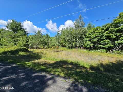 L-16.5 Donlan Heights Road, Broome, NY 12122