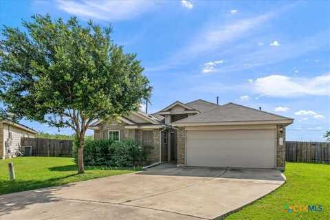 14513 Martial Eagle Drive, Elgin, TX 78621