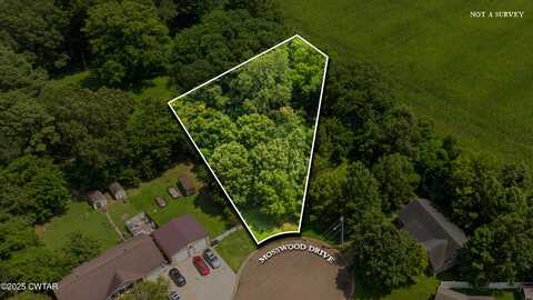 0 Mosswood Drive, Union City, TN 38261