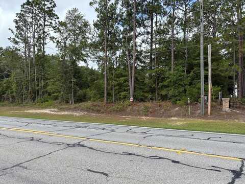 0 Newton Rd, Bainbridge, GA 39817