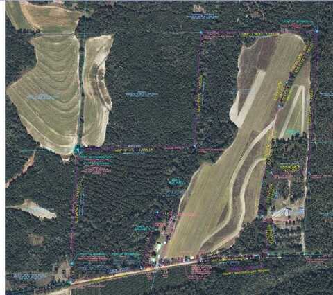 0 County Road 177, Shorterville, AL 36373