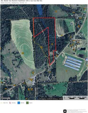 00 Co Rd 61, Midland City, AL 36350