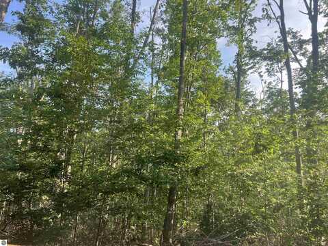 Lot 388 Wyndwood Drive, Mancelona, MI 49659