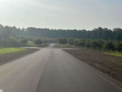 Parcel 14 Karnes Road, Glen Arbor, MI 49636