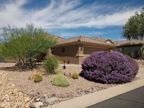 13347 N Heritage Club Place, Marana, AZ 85658