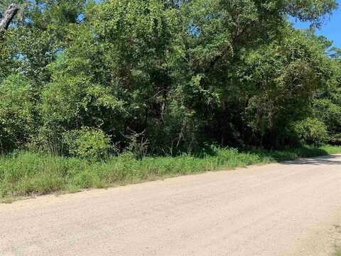 Parramore Shores Road, Tallahassee, FL 32310