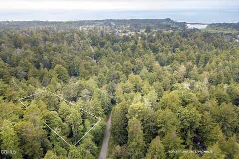 32100 Forest Lane, Fort Bragg, CA 95437
