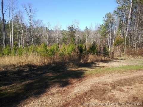 Hemp Street, Robbins, NC 27325