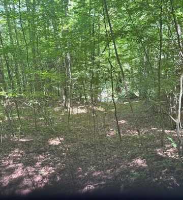 Macs Mountain Retreat Lane, Franklin, NC 28734