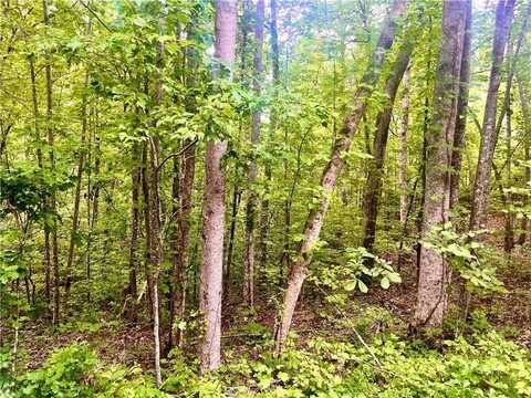 0 Mountain Brook Road, Dawsonville, GA 30534