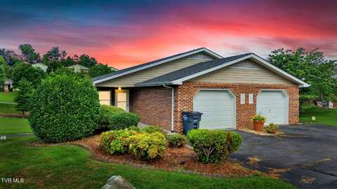 723 Teasel Drive, Kingsport, TN 37660