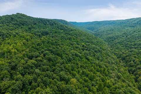 W Bobcat LN_Lot 54, WILDER, TN 38589