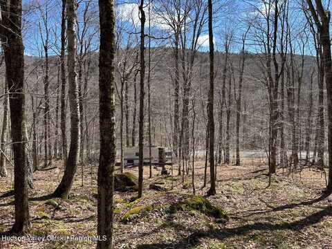 Tbd Frost Valley Rd, Claryville, NY 12725