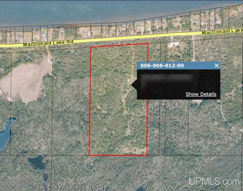 28.95 Acre County Road 432, Gulliver, MI 49840