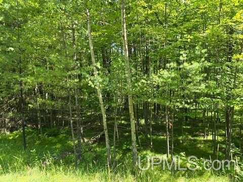 TBD Quinnesec Lake Antoine, Iron Mountain, MI 49801