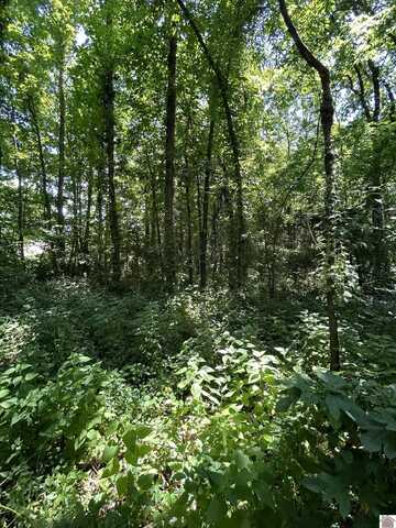000 Maple Lane, Canton, KY 42211