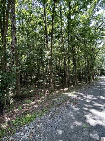 000 Cedar Lane, Canton, KY 42211