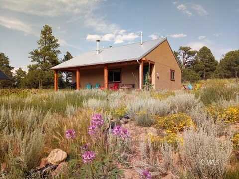 214 Durfee Cir, Westcliffe, CO 81252
