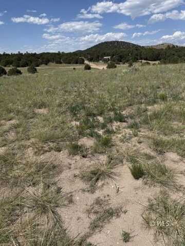 1739 17th Trail, Cotopaxi, CO 81223